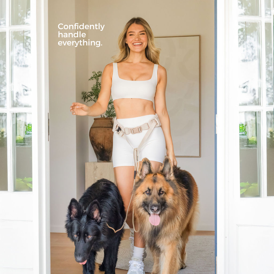 The Attachdᵀᴹ Hands-Free Dog Belt