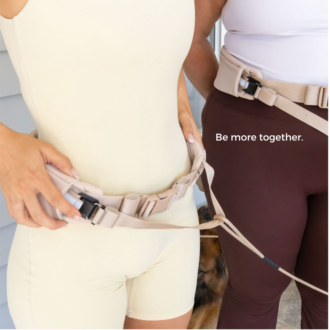 The Attachdᵀᴹ Hands-Free Dog Belt