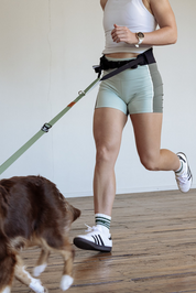 The Attachdᵀᴹ Hands-Free Dog Belt