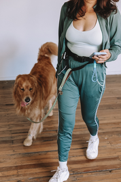 The Attachdᵀᴹ Hands-Free Dog Belt